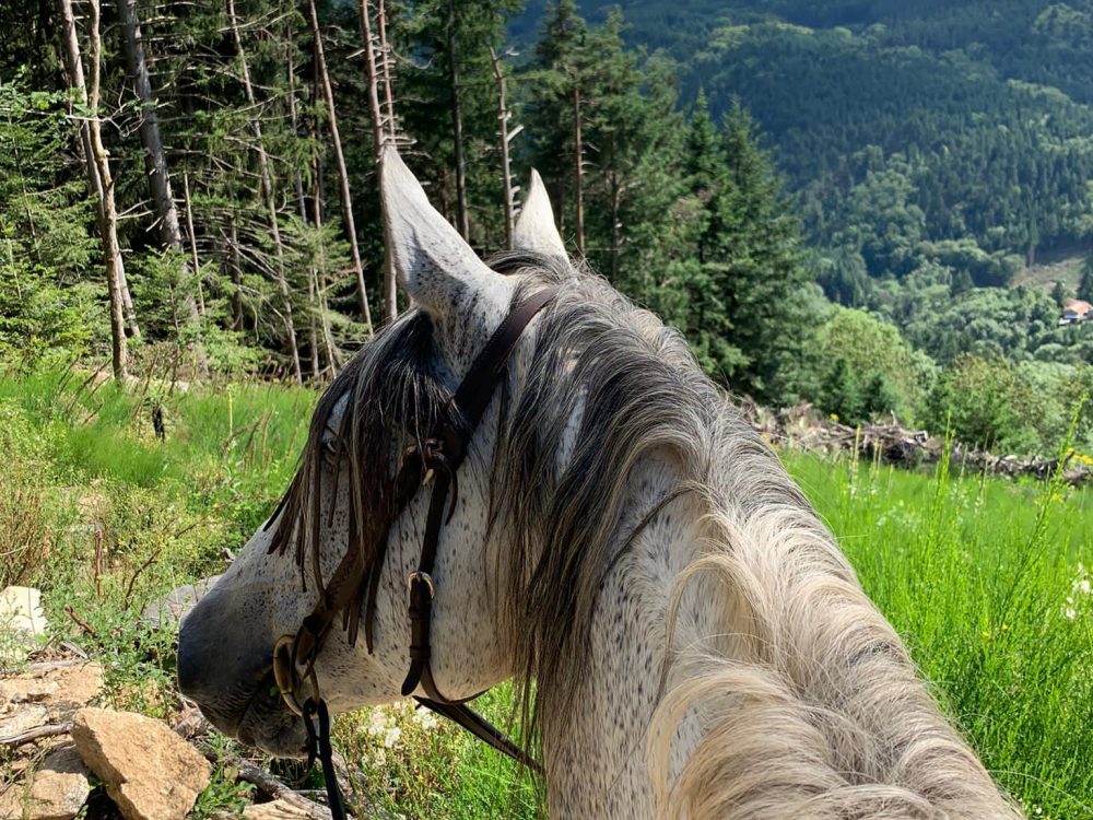 La paz  rando forez jour1